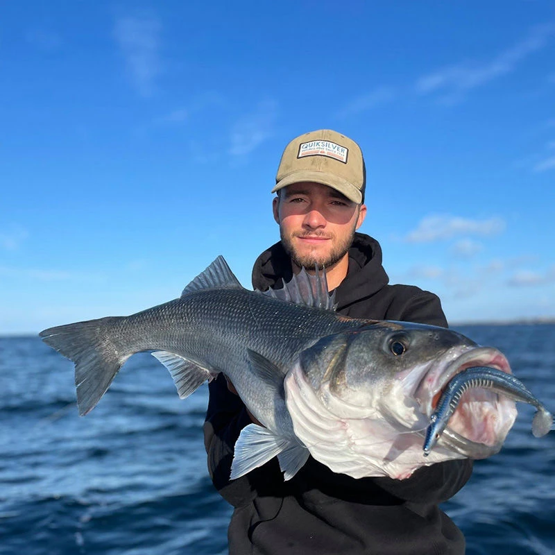 Westin Sandy Andy Weedless Jigs